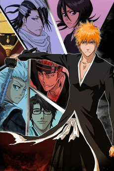 Bleach cover